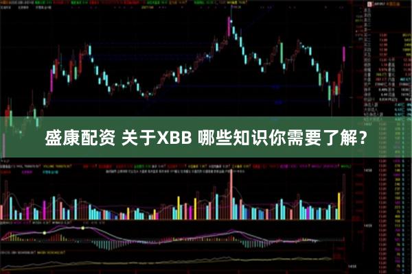 盛康配资 关于XBB 哪些知识你需要了解？