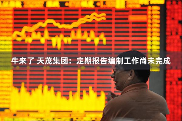 牛来了 天茂集团：定期报告编制工作尚未完成