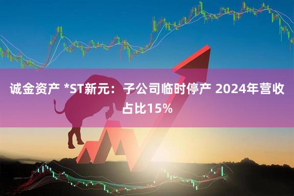 诚金资产 *ST新元：子公司临时停产 2024年营收占比15%